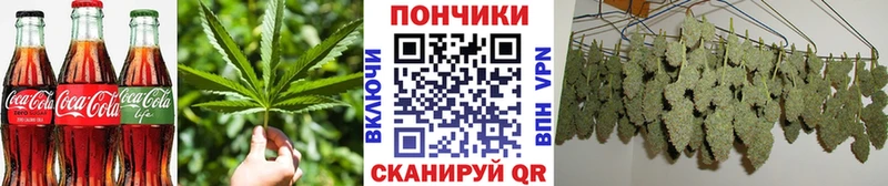 Купить  Аркадак  Cannafood конопля 