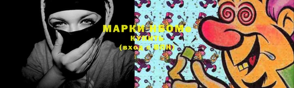скорость Ельня