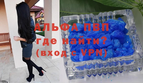 скорость Ельня