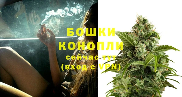 индика Заволжск