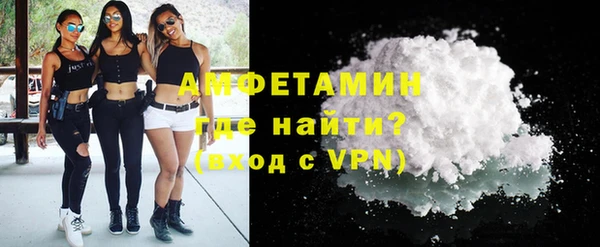 скорость Ельня